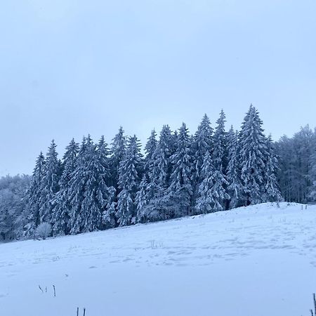 Le Chalet Du Hohwald Extérieur photo