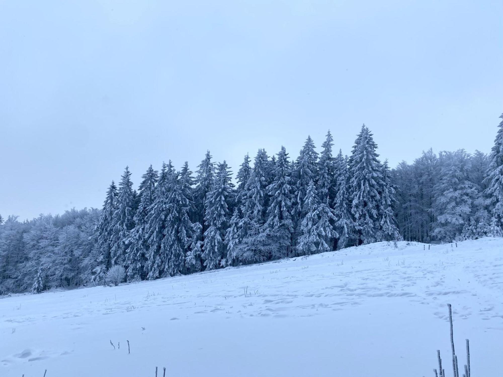 Le Chalet Du Hohwald Extérieur photo